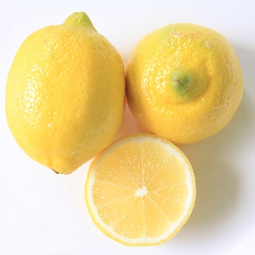레몬 * (5개)